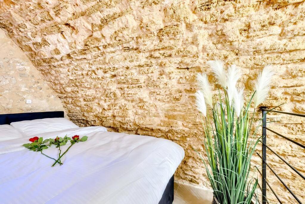 David & Yossef Luxury Rentals - Tel Aviv House Residence מראה חיצוני תמונה
